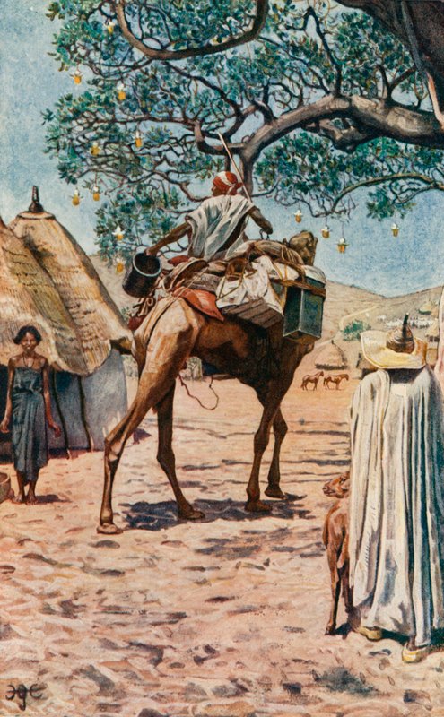 En Bornu de Harry Hamilton Johnston
