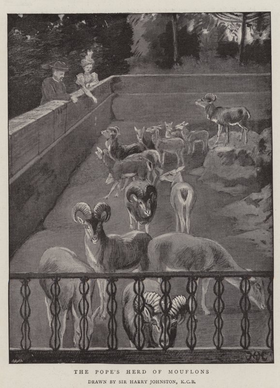 El Rebaño de Muflones del Papa de Harry Hamilton Johnston