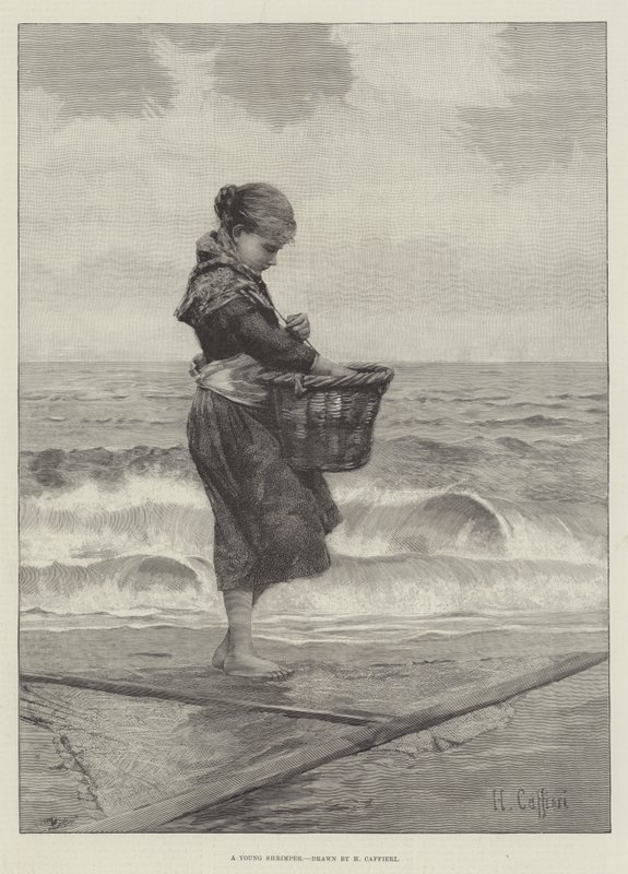 Un Joven Camarón de Hector Caffieri