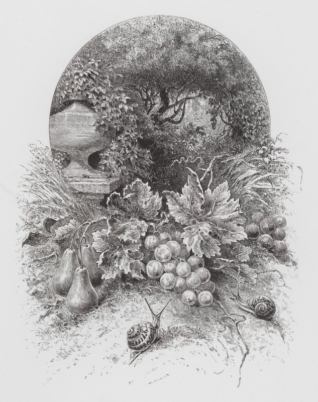 El insecto: Caracoles (grabado) de Hector Giacomelli