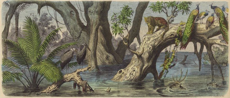 Inundaciones en el este de India de Heinrich Leutemann
