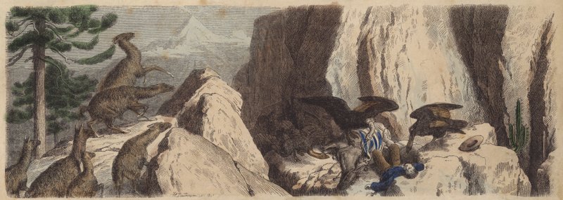 Los Andes Chilenos de Heinrich Leutemann