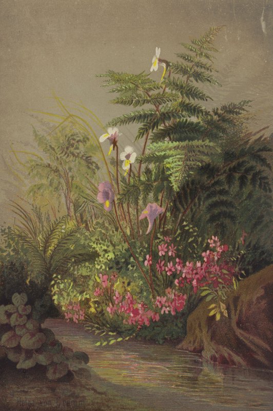 Flores junto a un arroyo de Helga von Cramm