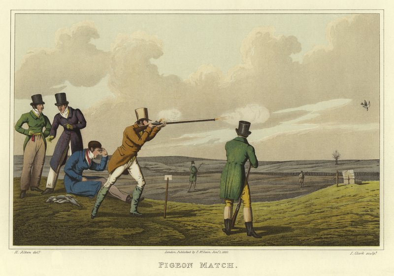 Partido de palomas de Henry Thomas Alken