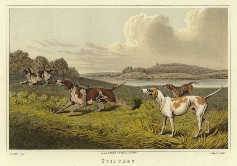 Pointers de Henry Thomas Alken