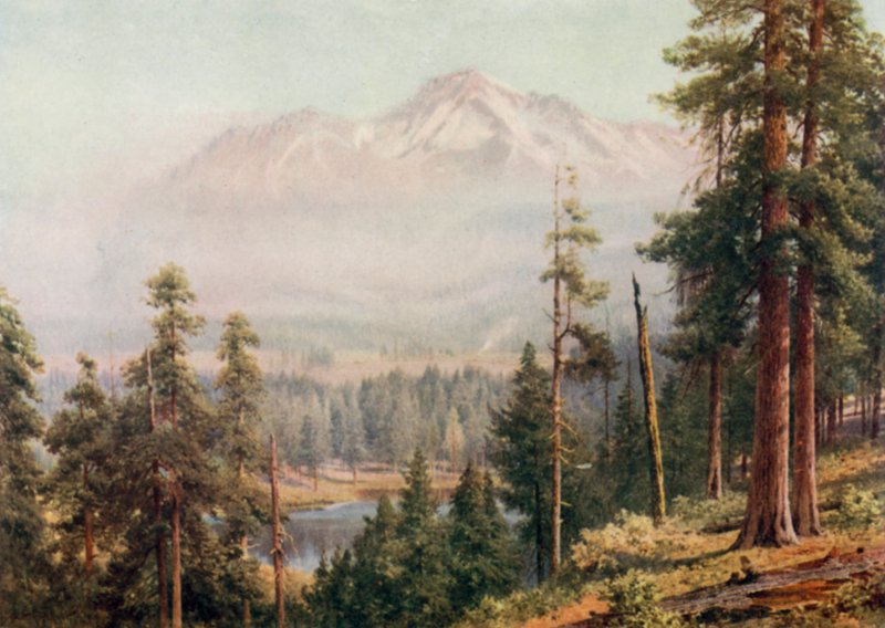Monte Shasta de Henry Sutton Palmer
