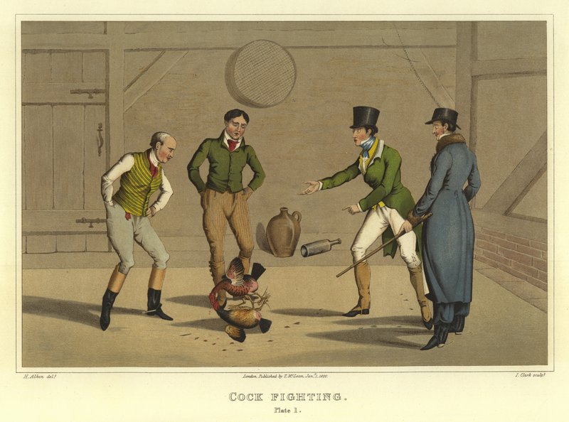 Pelea de gallos (cromolitografía) de Henry Thomas Alken