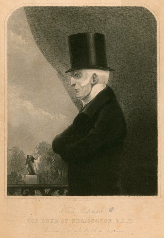 El Duque de Wellington de Henry de Daubrava
