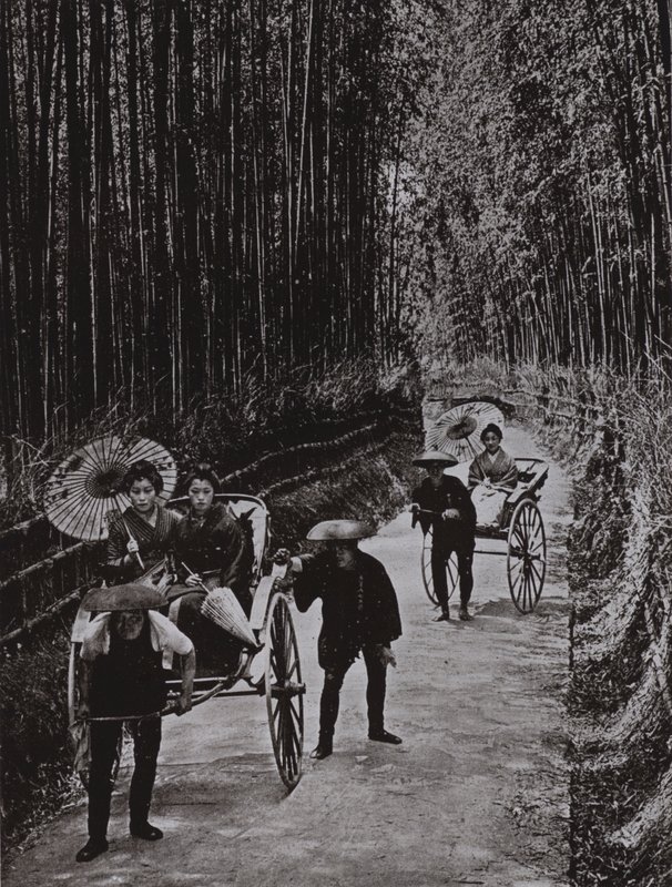 Una avenida de bambú en Kioto de Herbert Ponting