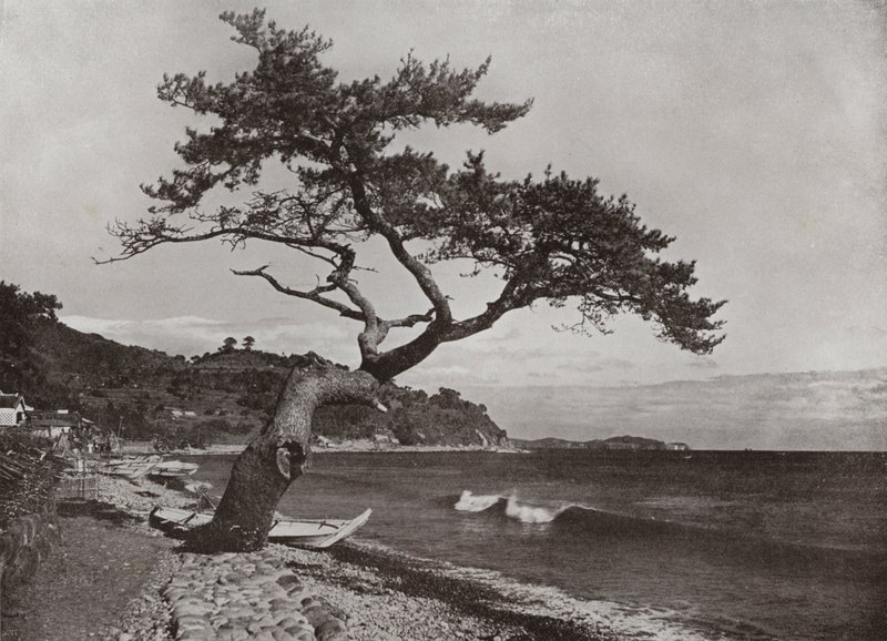 Atami de Herbert Ponting