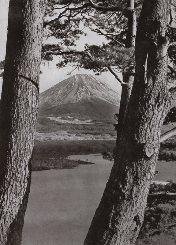 Fuji y los pinos (foto en b/n) de Herbert Ponting