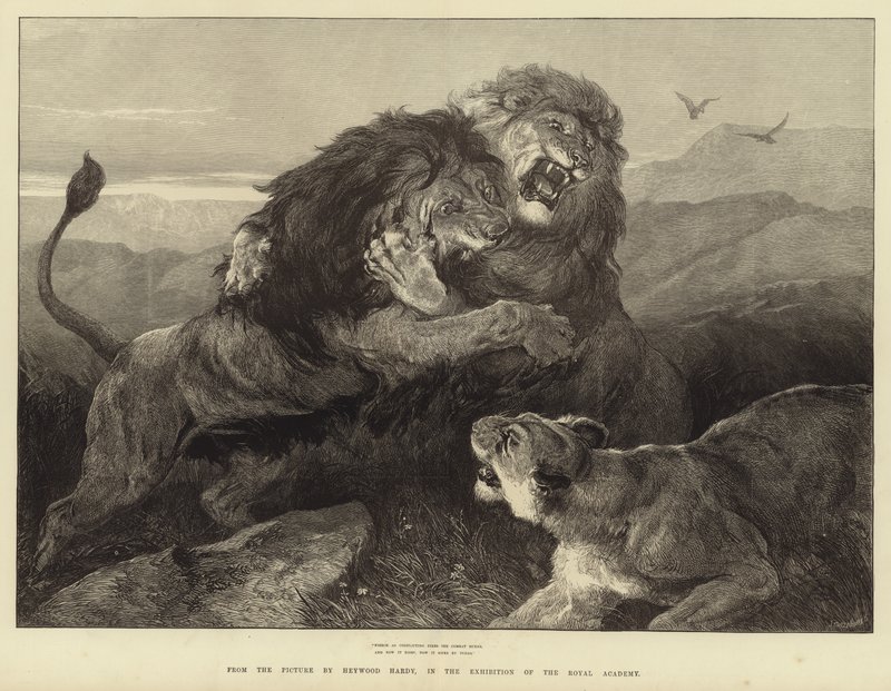 Feroz como fuegos en conflicto, el combate arde de Heywood Hardy