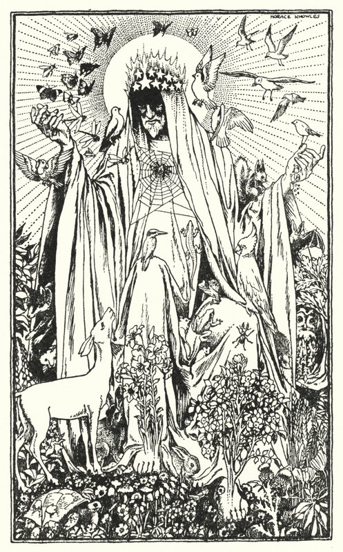 Petirrojo (litho) de Horace J. Knowles
