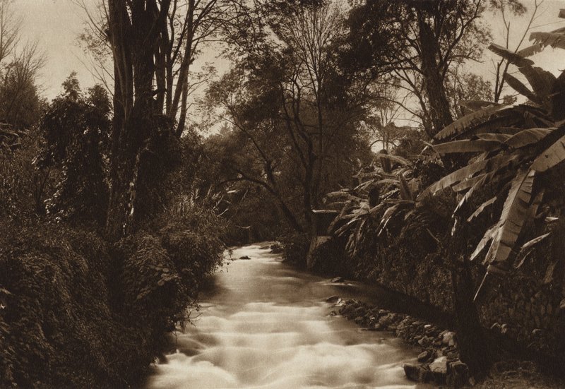 México: Uruapam (foto b/n) de Hugo Brehme