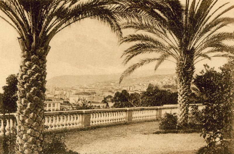 San Remo, Entre las Palmas (foto en b/n) de Italian Photographer