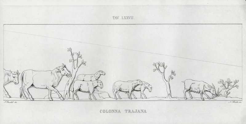 La Columna Trajana de Italian School