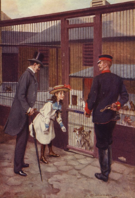 Ethel encuentra a Scamp de J. Williamson