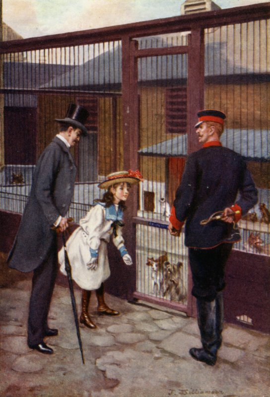 Ethel encuentra a Scamp de J. Williamson