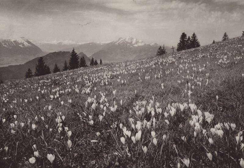 Rigi Kaltbad, primavera (foto b/n) de Jean Gaberell