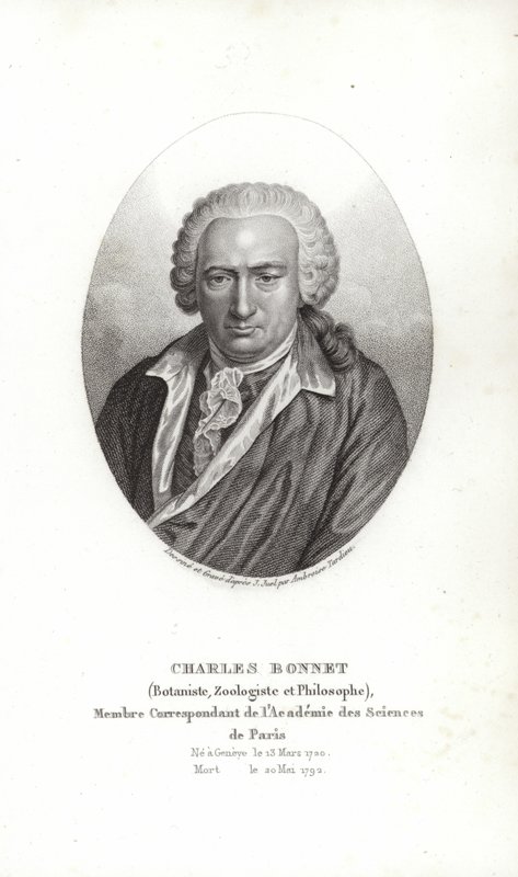 Charles Bonnet de Jens Juel
