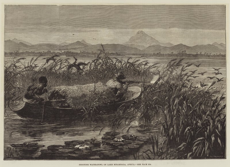 Caza de aves acuáticas en el lago Mirambala, África de Johann Nepomuk Schonberg