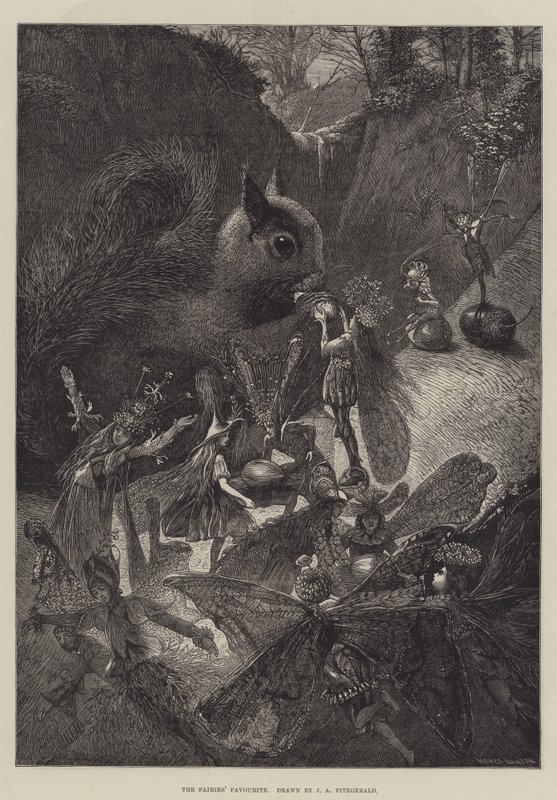 El favorito de las hadas de John Anster Fitzgerald