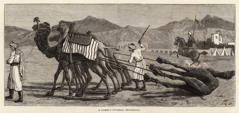 Procesión funeraria de un camello de John Charles Dollman