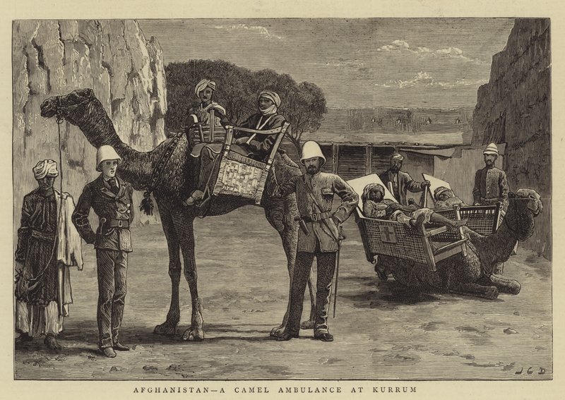 Afganistán, una ambulancia de camellos en Kurrum de John Charles Dollman