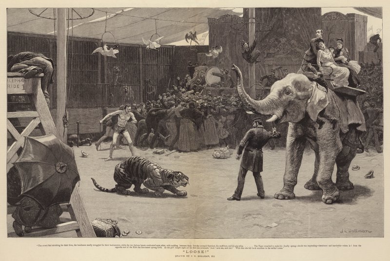 ¡Suelta! de John Charles Dollman