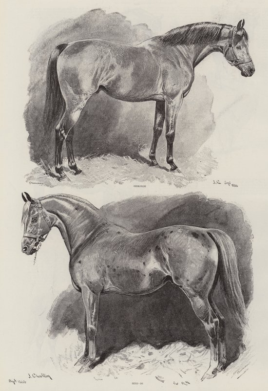 La carrera de un caballo de carreras de John Charlton