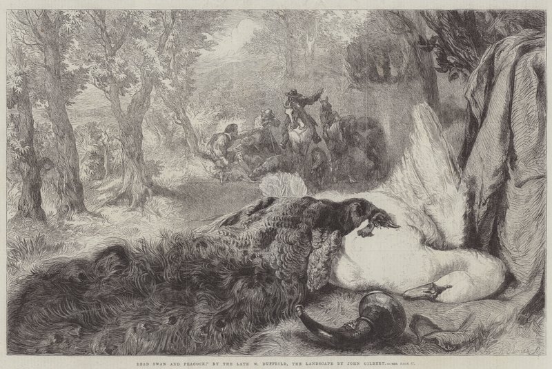 Cisne muerto y pavo real de John Gilbert