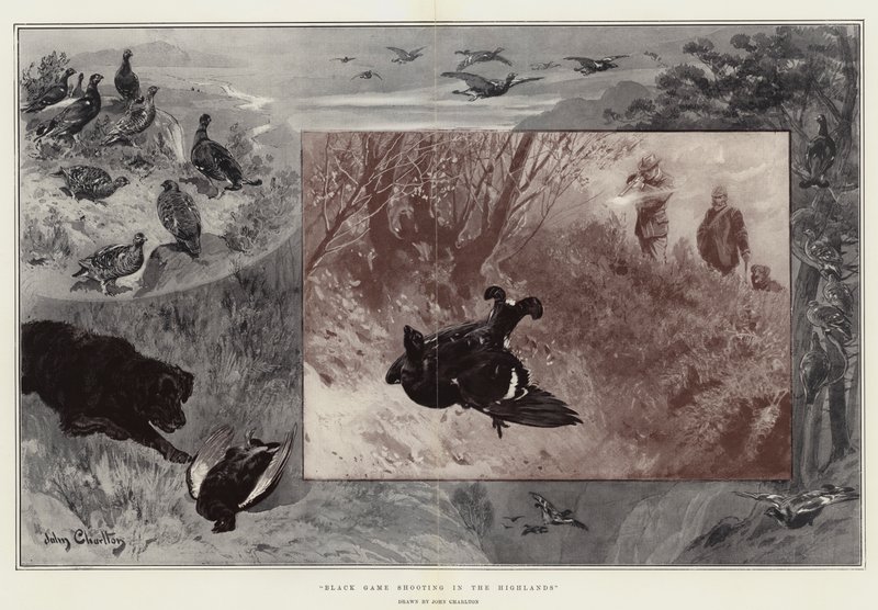 Caza de Juego Negro en las Tierras Altas de John Charlton