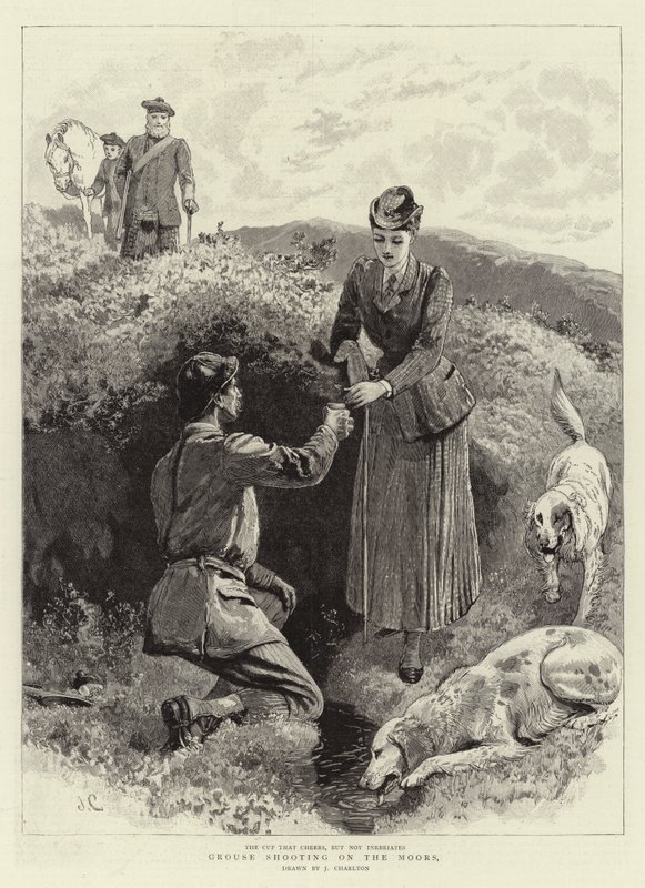 Caza de urogallos en los páramos de John Charlton