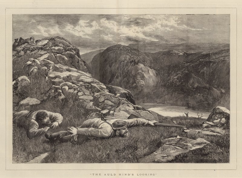 La mirada del viejo ciervo de John Evan Hodgson