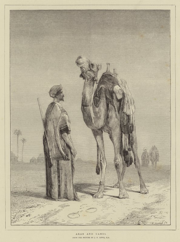 Árabe y Camello de John Frederick Lewis