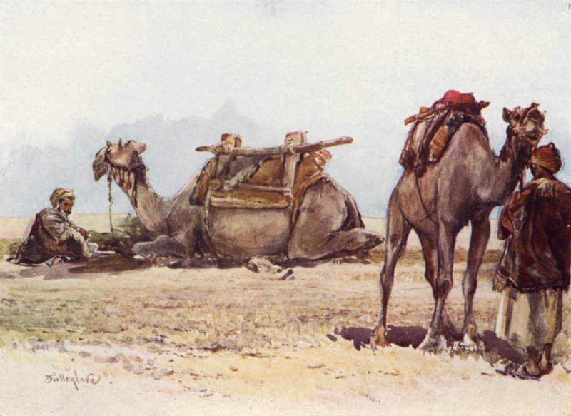 Estudio de camellos y asistentes de John Fulleylove