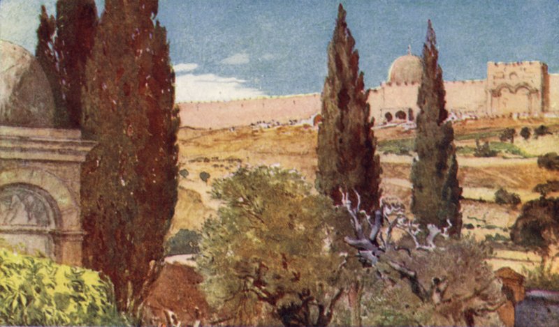 Los cipreses del Jardín de Getsemaní de John Fulleylove