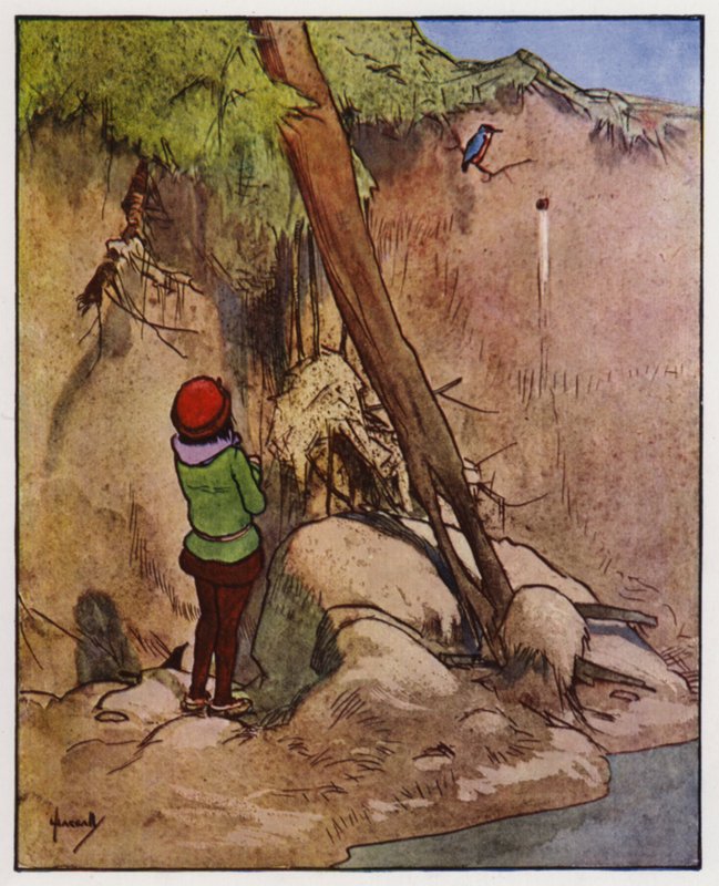 El martín pescador (litografía en color) de John Hassall