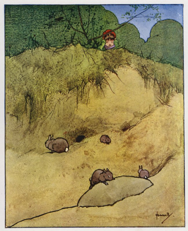 El conejo (litografía en color) de John Hassall