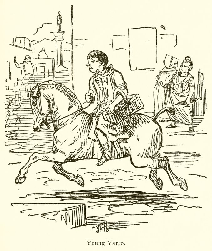 Joven Varro de John Leech