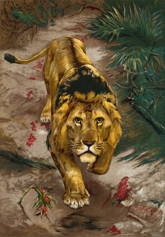 El rastro de sangre de John Trivett Nettleship