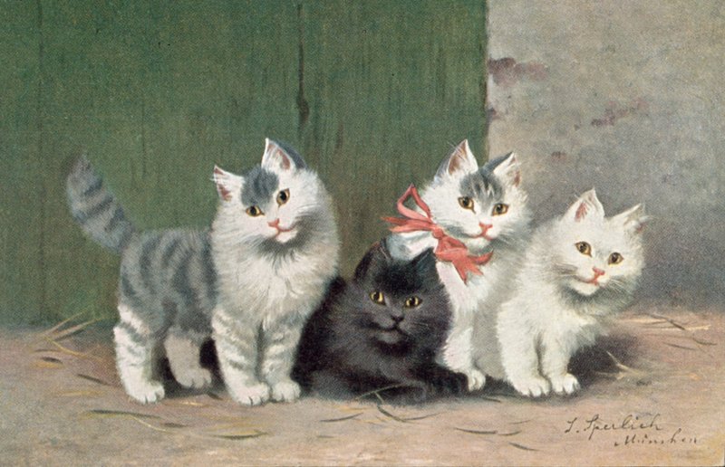 Postal felina (litografía en color) de Josef Sperlich