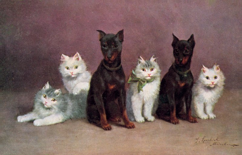 Postal felina (litografía en color) de Josef Sperlich