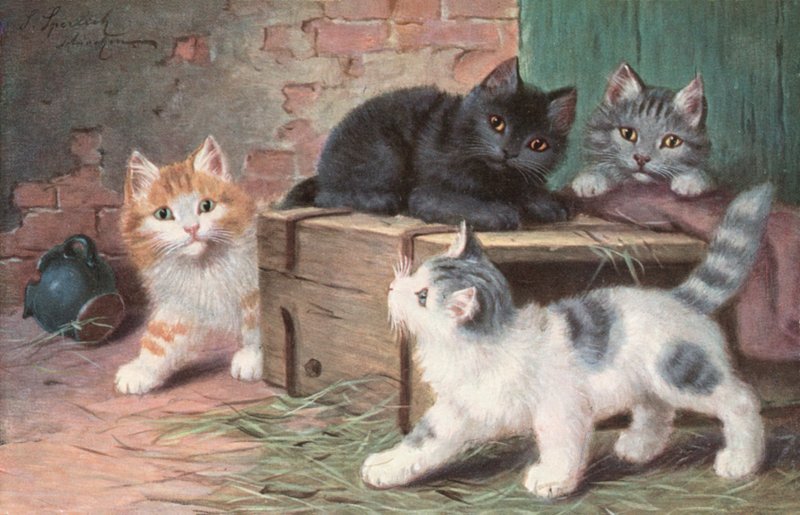 Postal felina (litografía en color) de Josef Sperlich