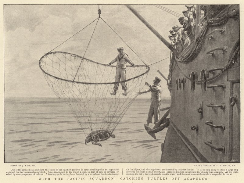 Con el Escuadrón del Pacífico, capturando tortugas frente a Acapulco de Joseph Nash