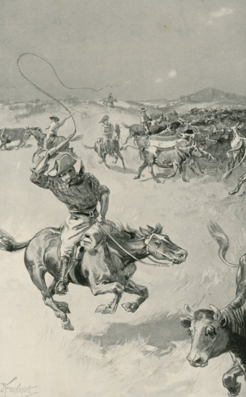 Reunión de ganado en Queensland de Joseph Finnemore