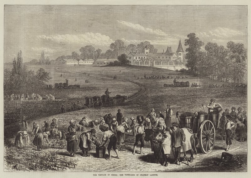 La vendimia en Medoc, los viñedos del Chateau Lafitte de Jules Pelcoq