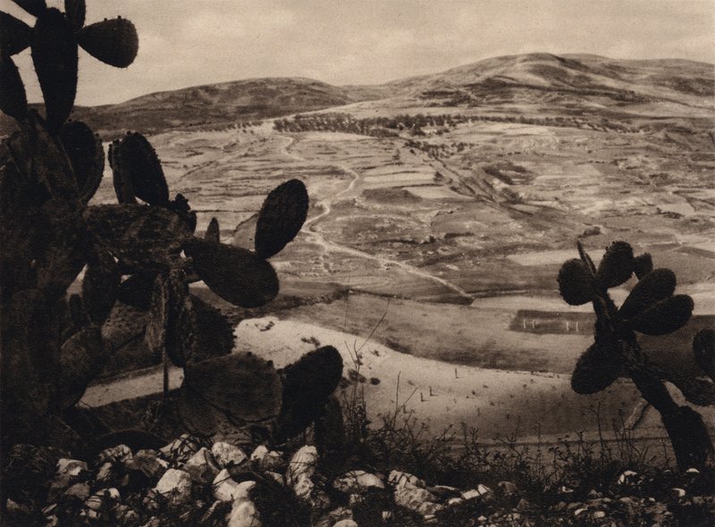 Samaria, Hipódromo de Herodes (foto b/n) de Karl Grober