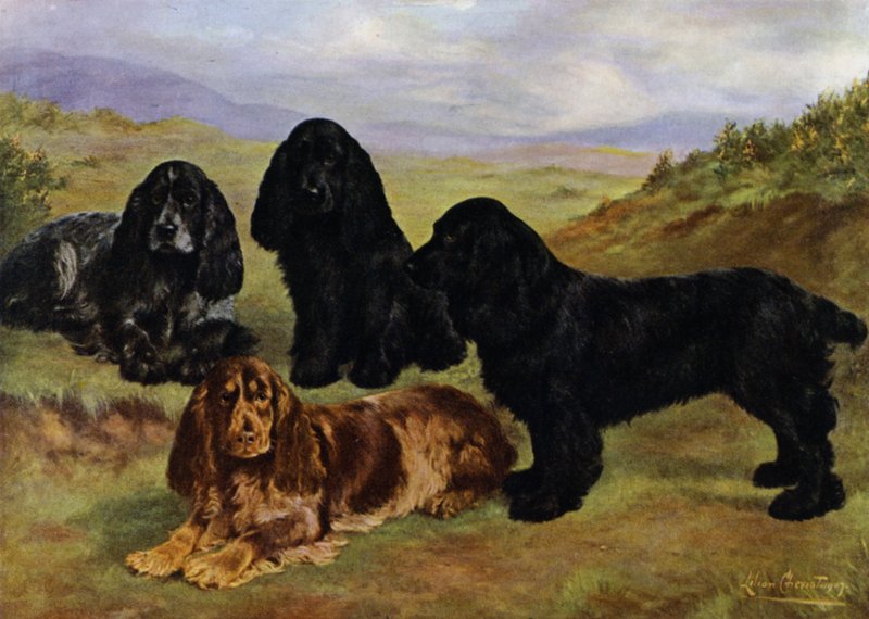 Cocker Spaniels de Lilian Cheviot