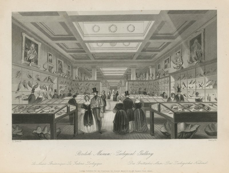 Sala Zoológica en el Museo Británico de Llewellyn Jewitt